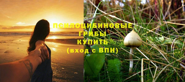 мяу мяу мука Арсеньев