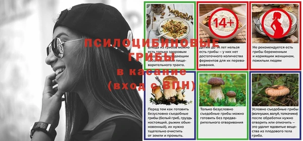 мяу мяу мука Арсеньев