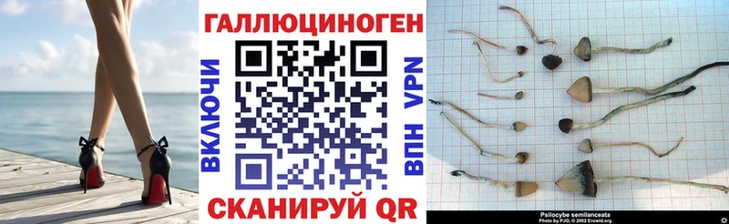 Галлюциногенные грибы Magic Shrooms Ипатово